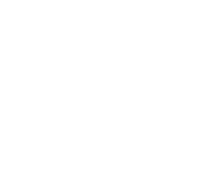 Logo NIPOSu