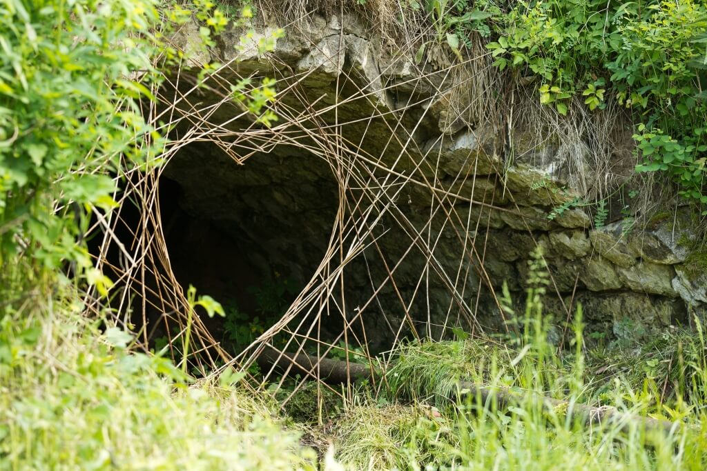 foto: Ivo Mičkal Vystoupení v koncertním sálu